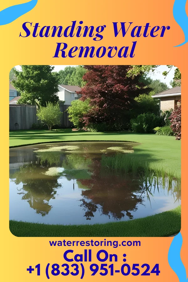 Standing Water Removal in Sullivan, MO